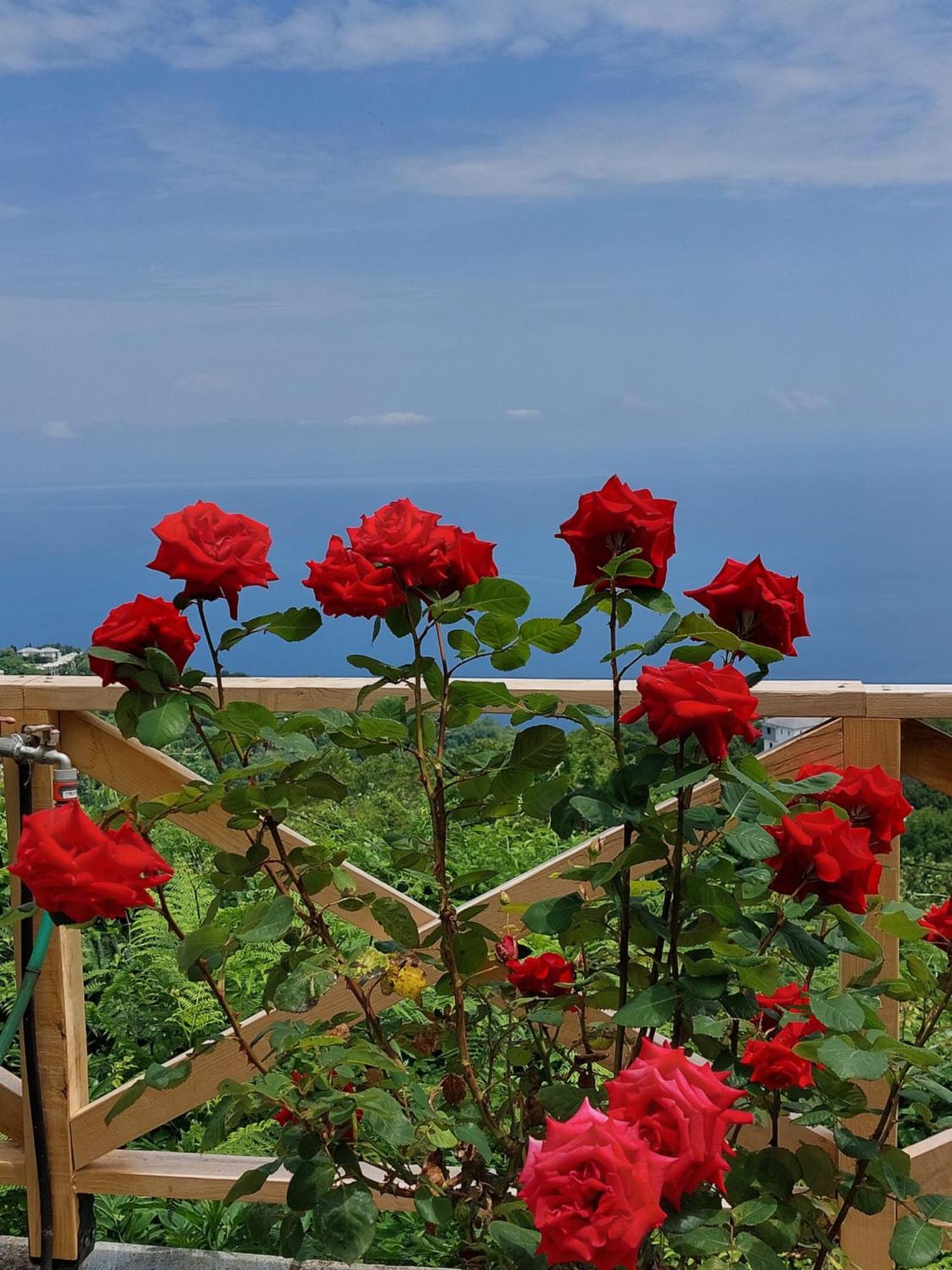 Θαλλώ Luxurious Villa Tsagkarada Exterior foto